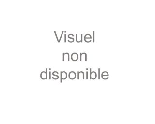Filament ABS sans perturbateurs endocriniens - Noir Ø 1,75mm 0,5kg